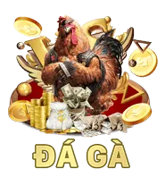 Tương thích đa nền tảng